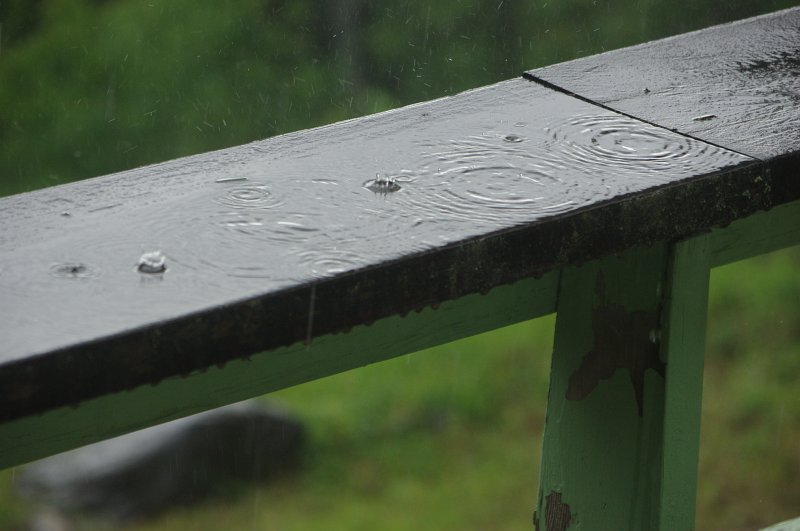 IMGP9808.JPG - Rain