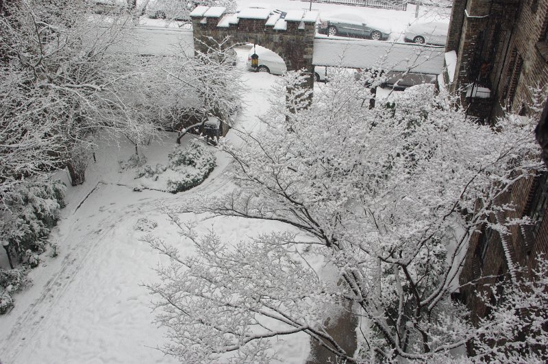 IMGP7234.JPG - Courtyard