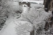 IMGP7234