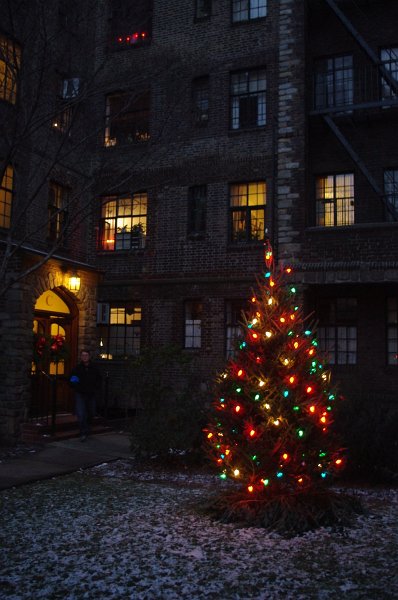 IMGP6893.JPG - Courtyard with tree. Snow? 12/15