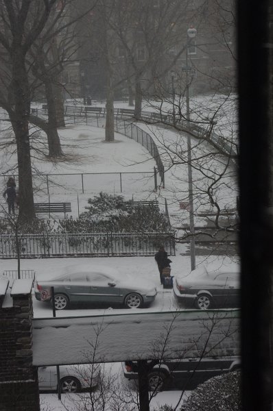 IMGP6912.jpg - Across the park.