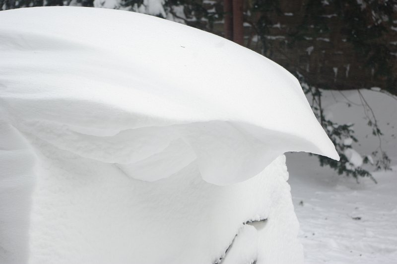 IMGP6973.JPG - Wind carving 1