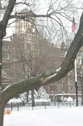 IMGP6926