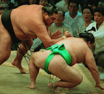 sumo.gif