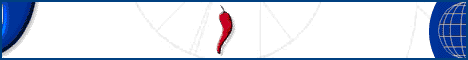 ad pepper media Spain