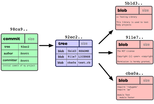 Commits, Trees, and Blobs