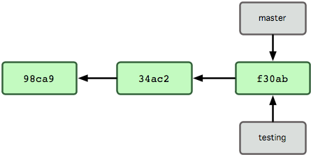New Branch