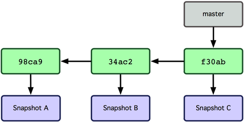 Single Branch
