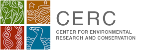 cercicon