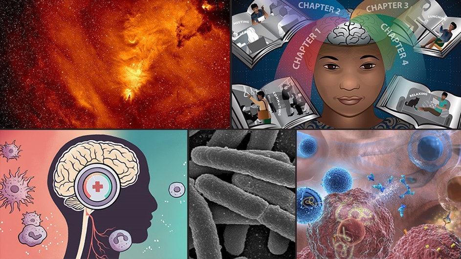 13 Columbia Science Discoveries That Had an Impact in 2024