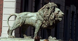Bronze lion 