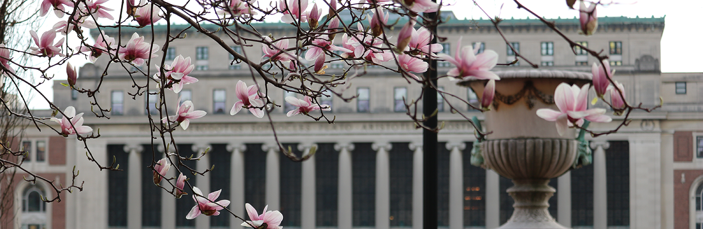 Butler Library seen through branches of dogwood blossoms