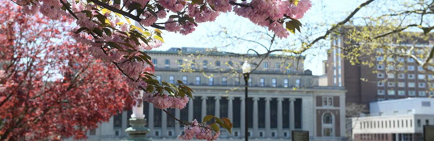 Butler Library in relief with spring cherry blossoms in the foreground