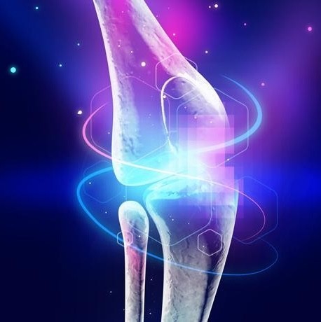 Illustration of a knee joint
