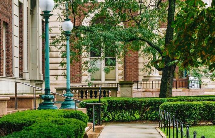 Courtyard with bright green trees and grass against the backdrop of stone and brick academic buildings