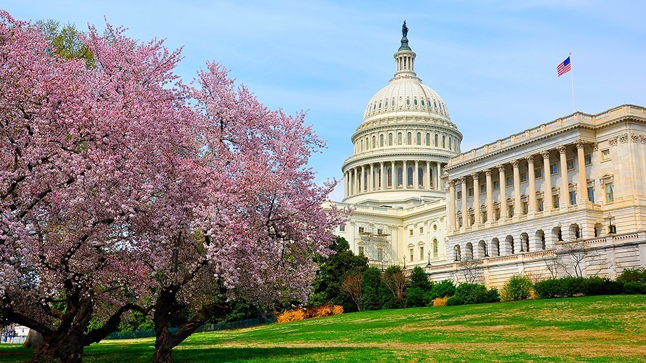Capitol Building in spring.