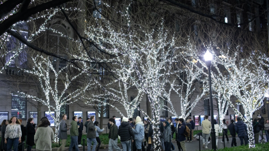 Tree Lighting Gives College Walk a Glow Up