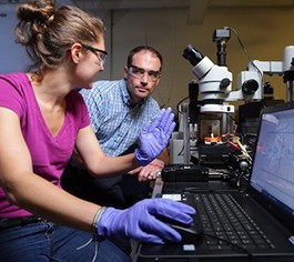 Researchers looking through microscope