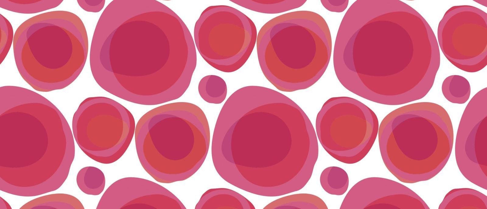 Will Revitalizing Old Blood Slow Aging?