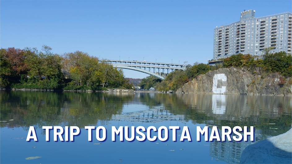 A Trip to Muscota Marsh