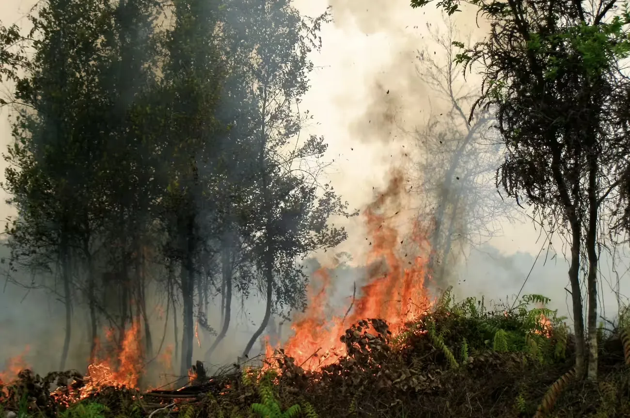 El Niño 2026: How Big Could It Get?
