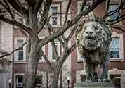 Columbia Scholar's Lion sculpture in winter