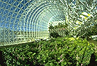 Biosphere