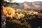 Biosphere