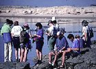 Fieldwork