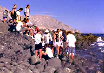 Fieldwork