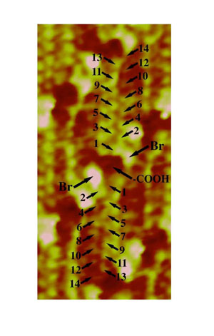 chiral_2.jpg