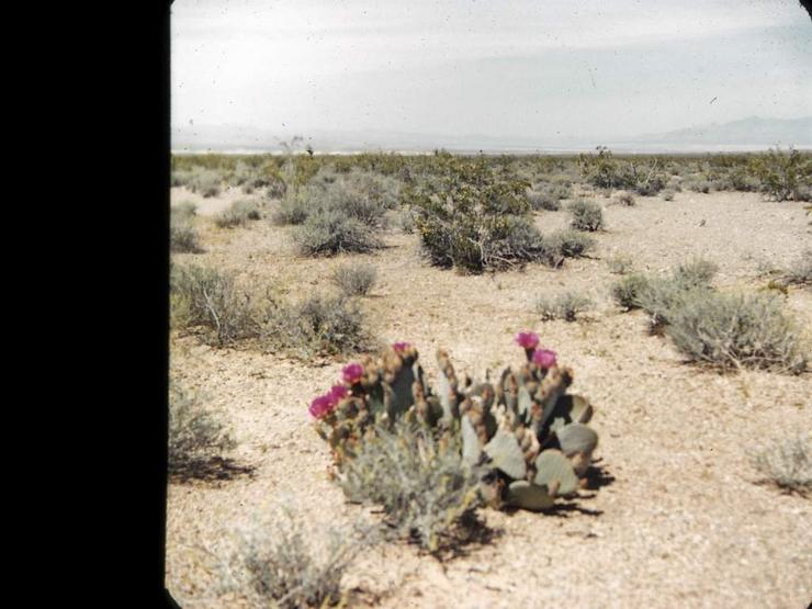 11 Valley of Fire and Phoenix 1951 Photo #2
