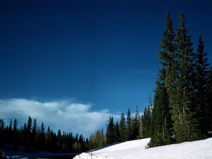 43 Utah Photo #4