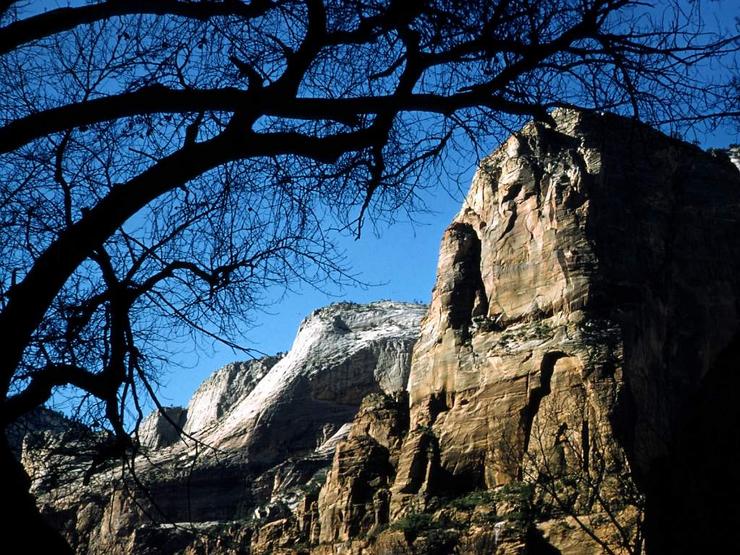 43 Utah Photo #6