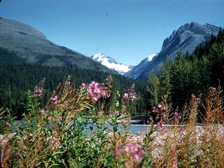53 Vancouver to Jasper Photo #11