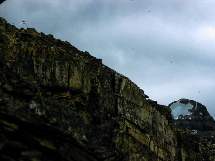 55 Climbing alone Photo #8