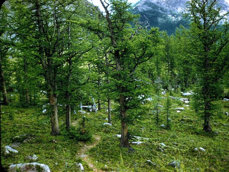 55 Climbing alone Photo #17
