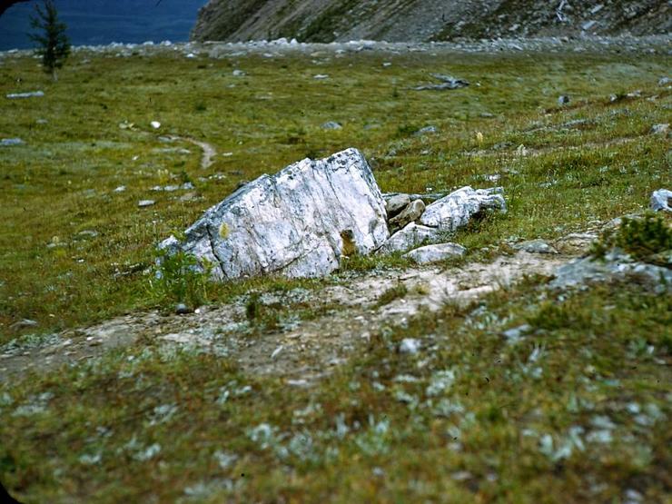 55 Climbing alone Photo #18