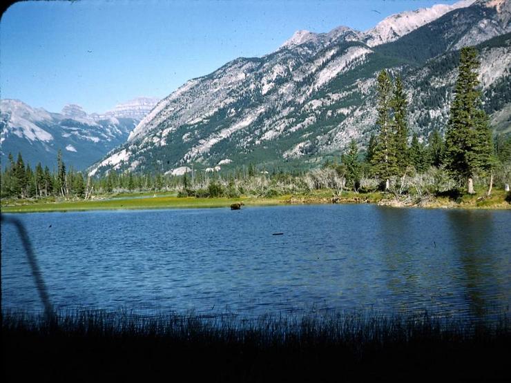 58 Continental Divide Photo #18