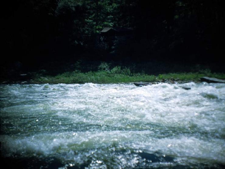 all1 Photo #15
