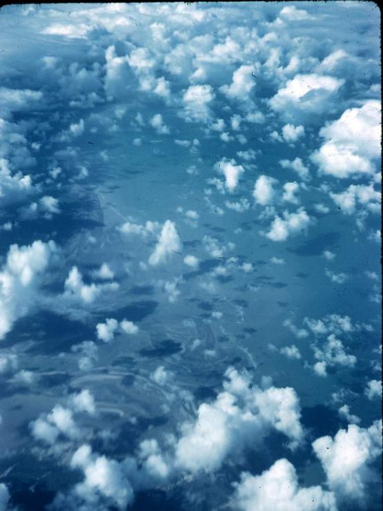 all1 Photo #1173