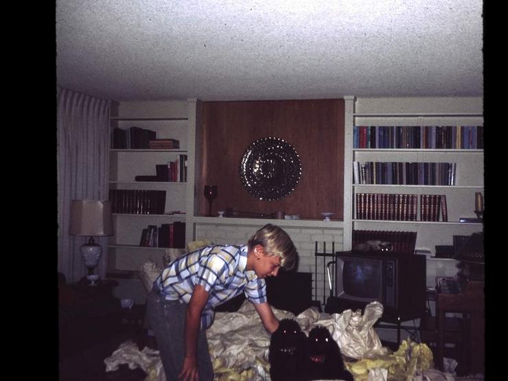 all1 Photo #1271