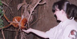 kari at zoo