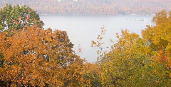 trees and lake page header