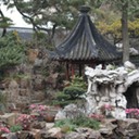 DSC02175