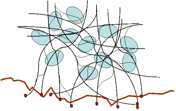 Firbitd Matrix PowerPoint Presentation