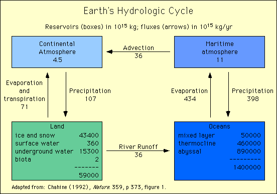 Hydrological Cycle