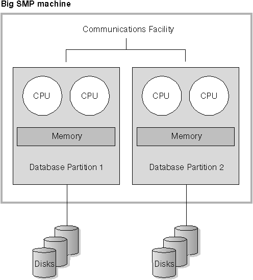 Partitioned Database, Symmetric Multiprocessor System