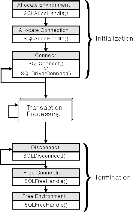 Call Level Interface Guide and Reference