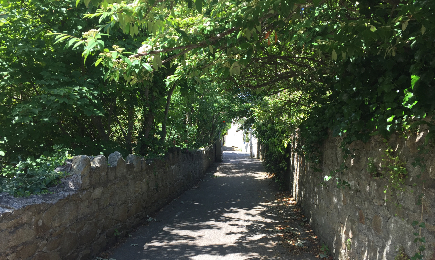 Castle Park Road